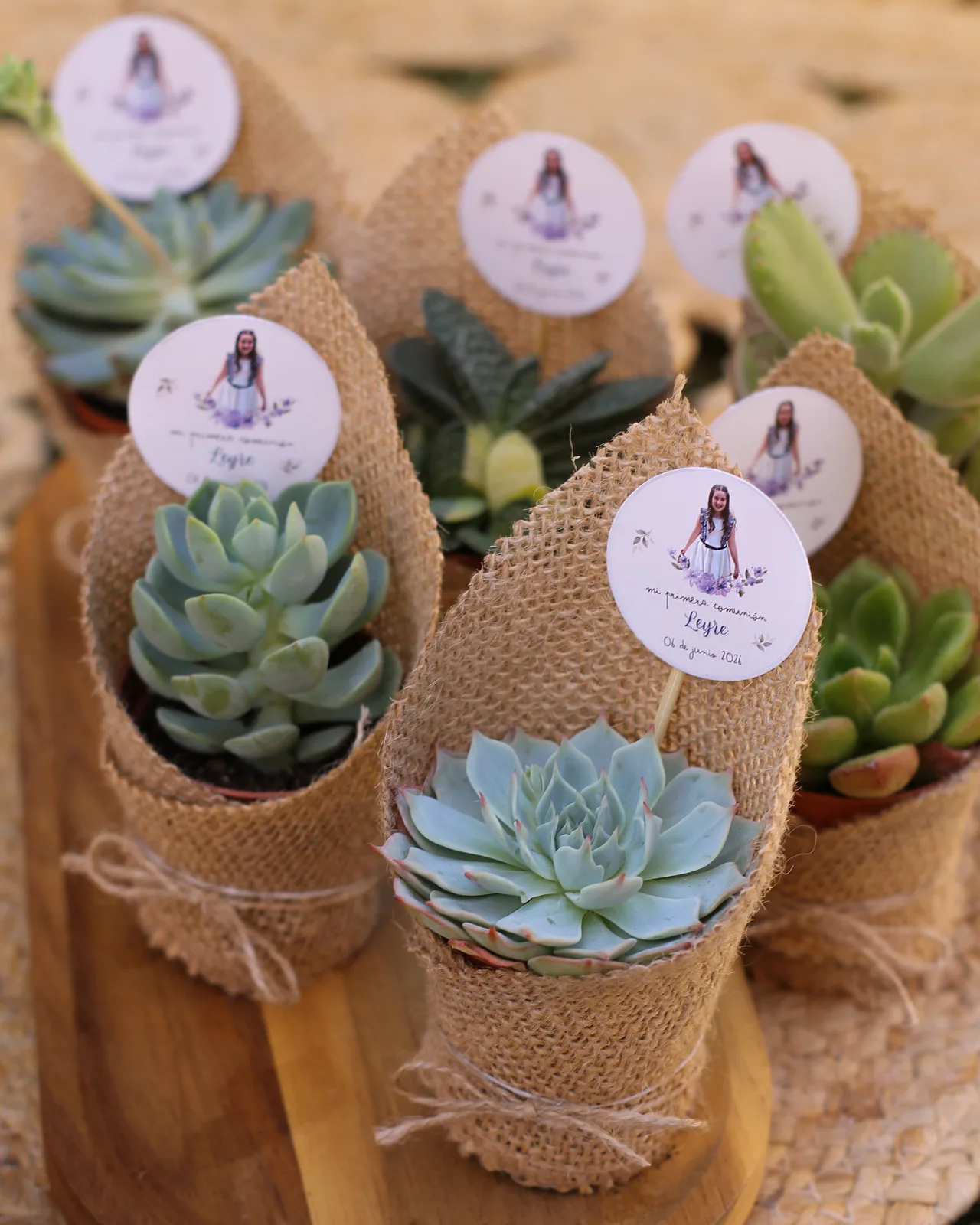 Planta natural como detalle para invitados